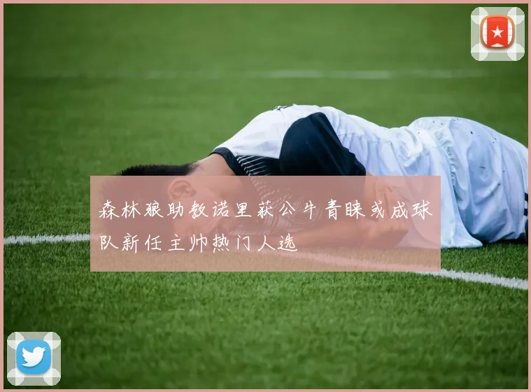 森林狼助教诺里获公牛青睐或成球队新任主帅热门人选